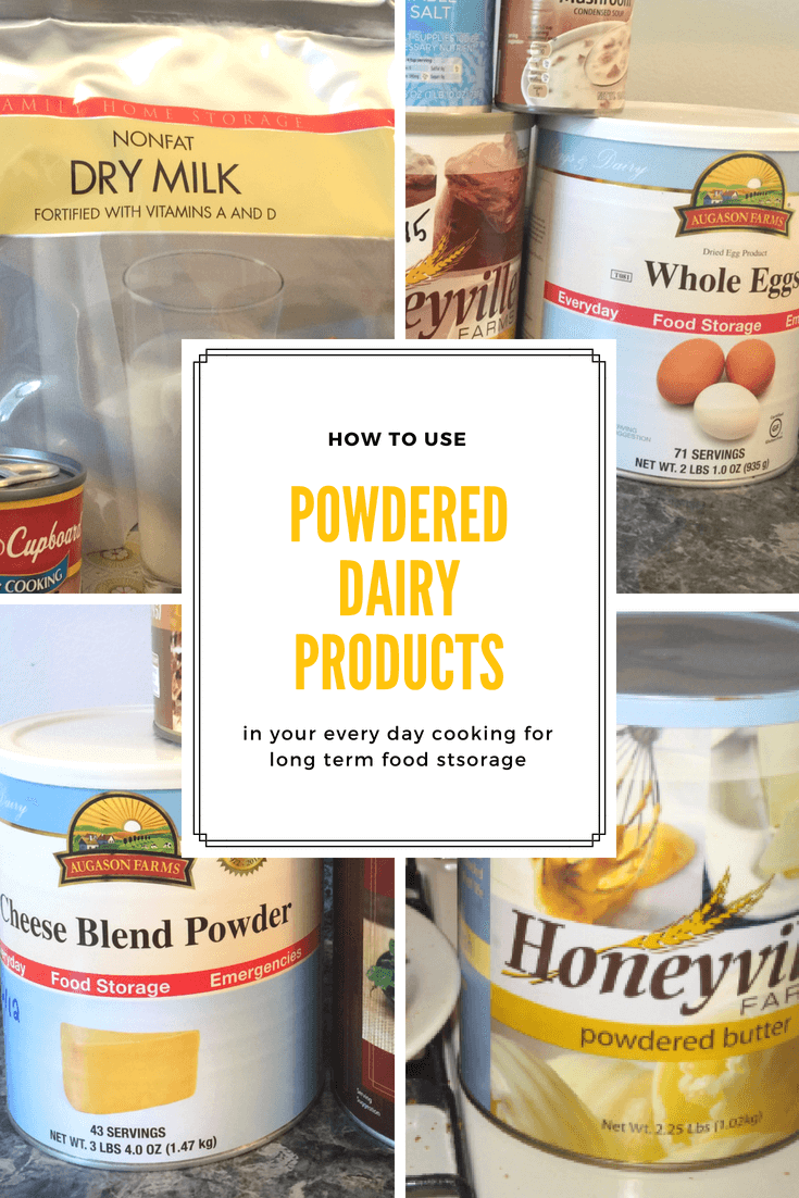 How to Use Powdered Dairy Products The Merrill Project