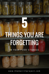 What are you forgetting in your food storage? Throughout my 7 years of gathering food storage, I have made A LOT of mistakes! Don't fall into the same trap